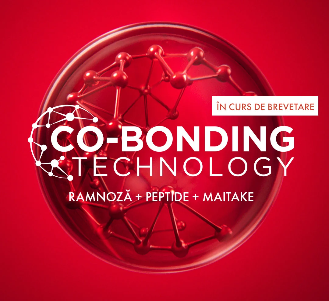 CO-BONDING TECHNOLOGY CO-BONDING TECHNOLOGY