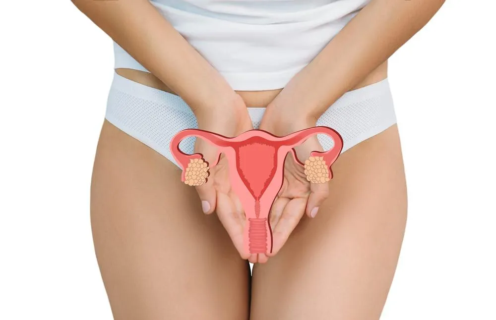Trompa uterina: ce trebuie sa stii?
