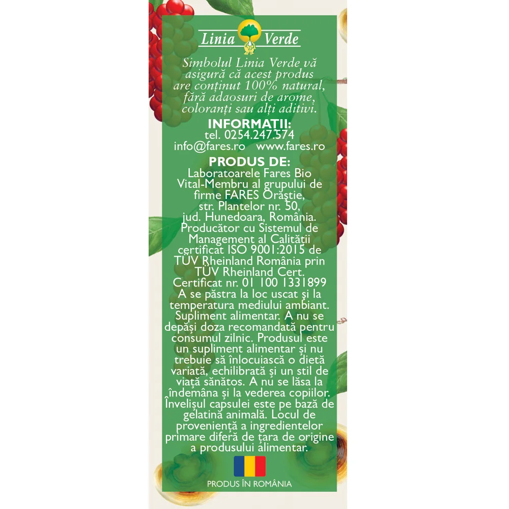 Detoxifiant cu ganoderma, 63 capsule, Fares