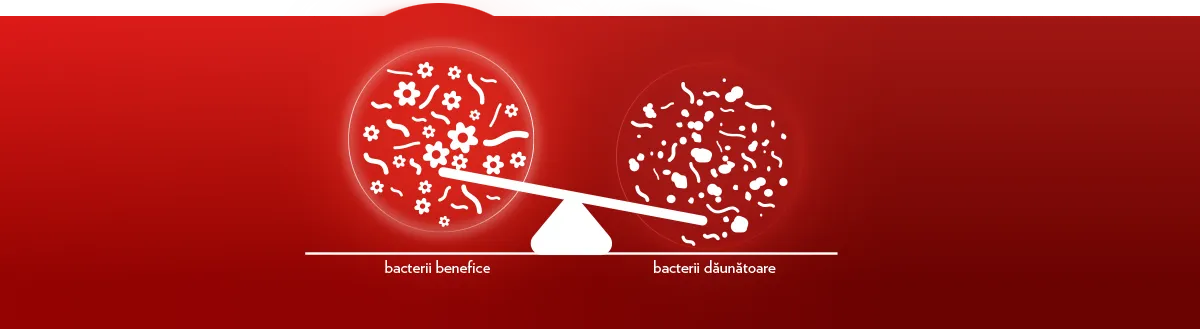 Canesbalance - bacterii benefice vs bacterii daunatoare