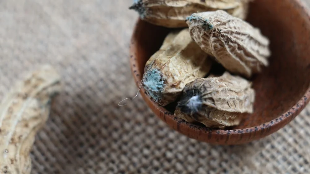 Aflatoxine: ce sunt si ce trebuie sa stii despre acestea