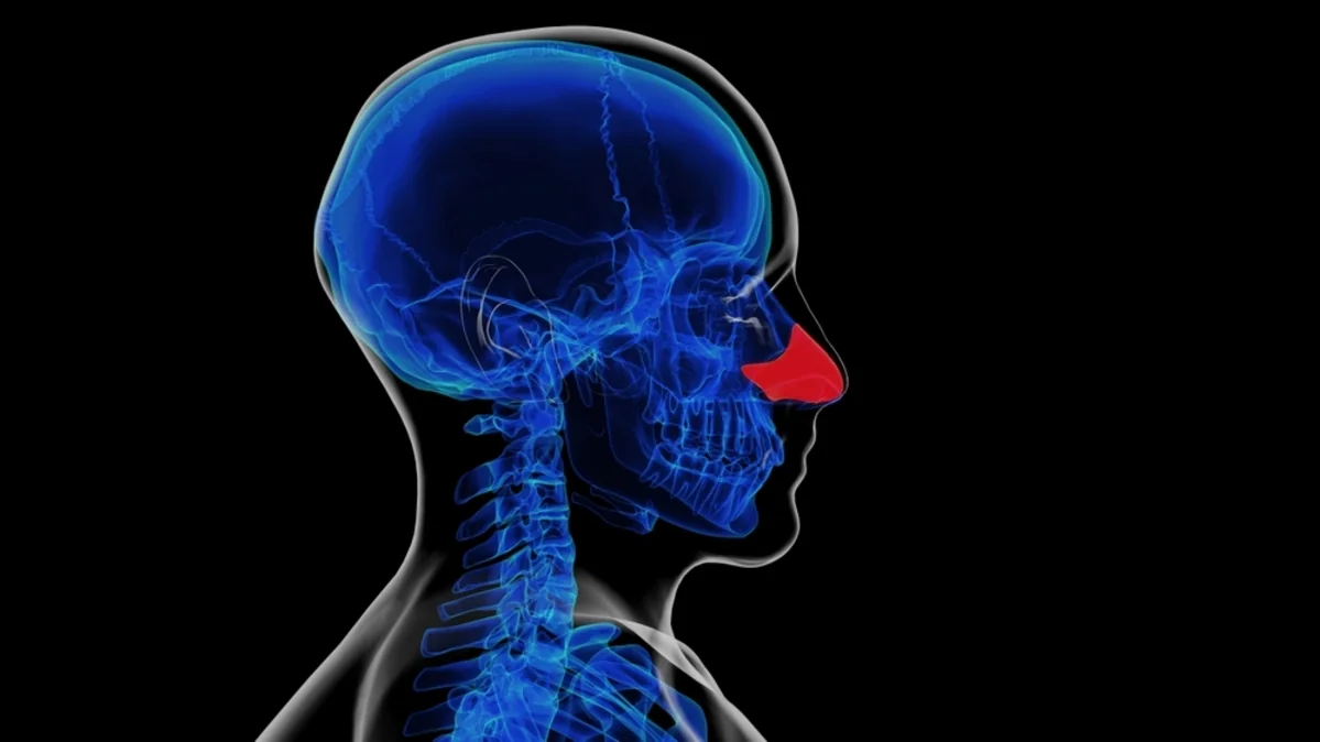 Hipertrofia cornetelor nazale: cauze, simptome si tratament