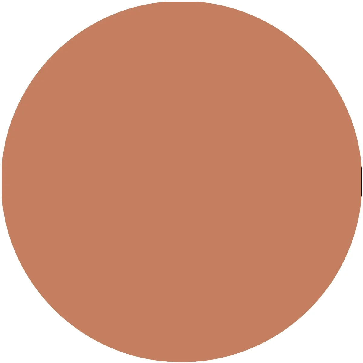Fard de pleoape Art Couleurs 420 - Rusty Roobi, 2.4g, Catrice