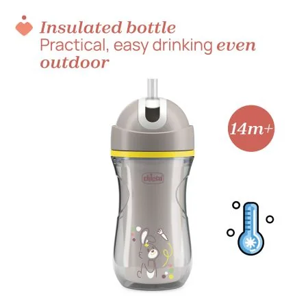 Canuta sport termorezistenta gri cu pai 14 luni+, 266ml, Chicco