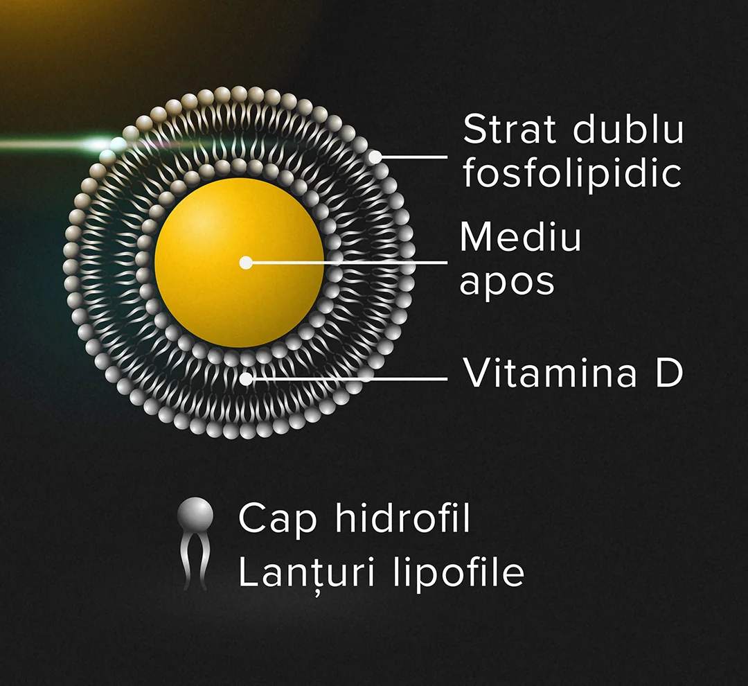 Proprietati LifeCode developed by Dr. Max® Liposomal Vitamin D Proprietati LifeCode developed by Dr. Max® Liposomal Vitamin D