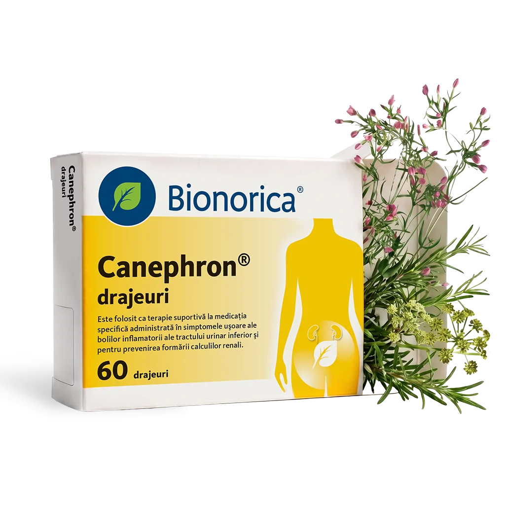 Canephron, 60 drajeuri, Bionorica