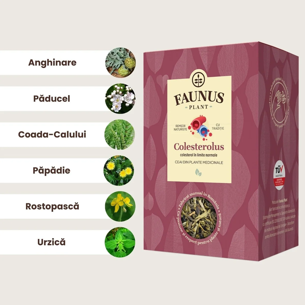 Ceai pentru colesterol si trigliceride marite Colesterolus, 90g, Faunus Plant