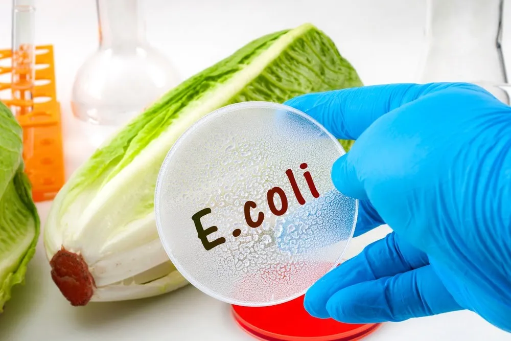Escherichia coli: simptome, preventie, tot ce trebuie sa stii