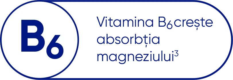 B6- Vitamina B6 creste absorbtia magenziului