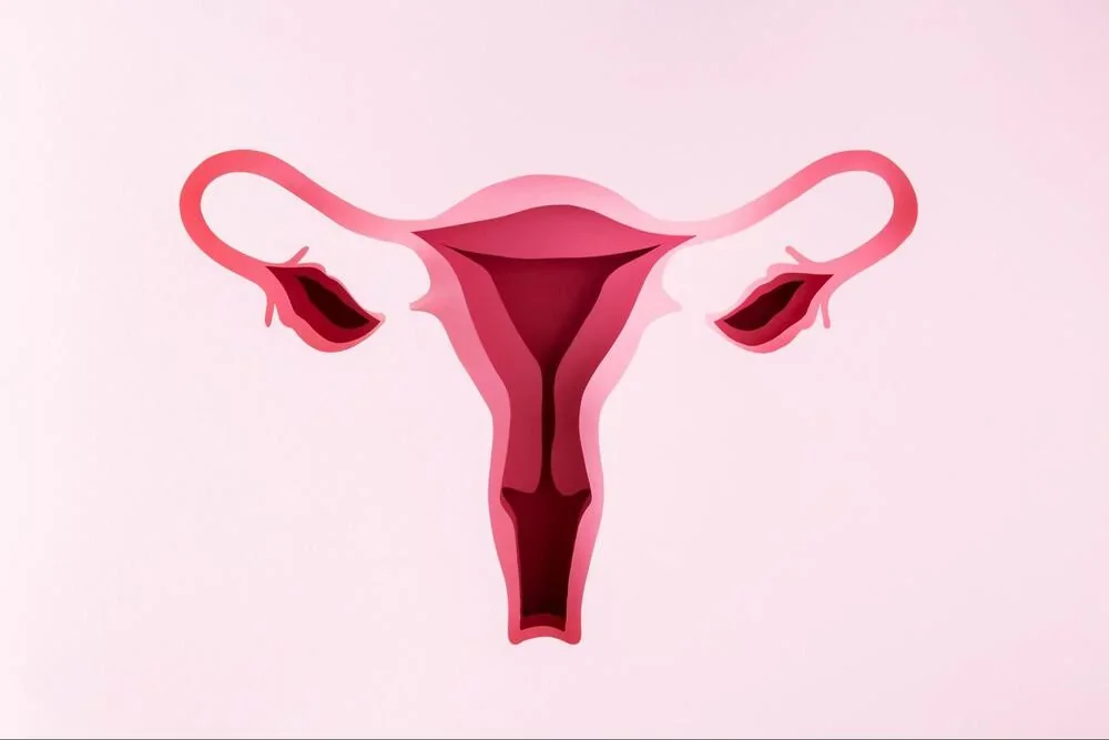 Adenomioza: cauze, manifestari si optiuni de tratament