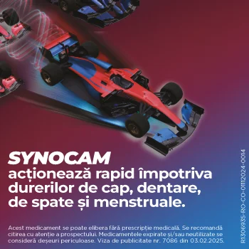 Synocam 200mg/500mg, 10 comprimate