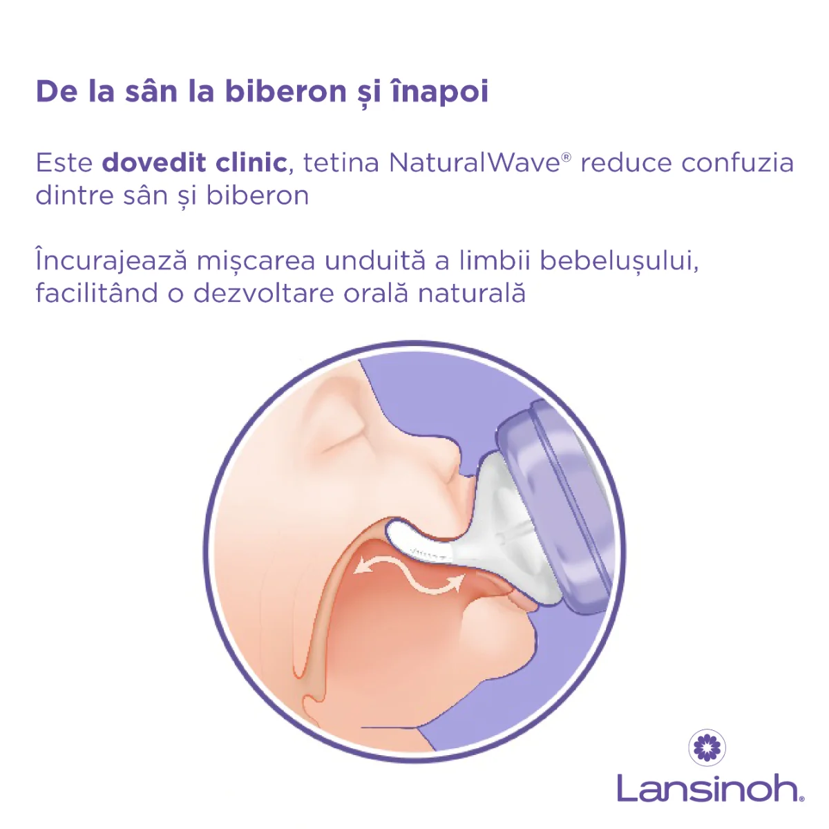 Set biberoane din sticla, 2 x 160ml, Lansinoh