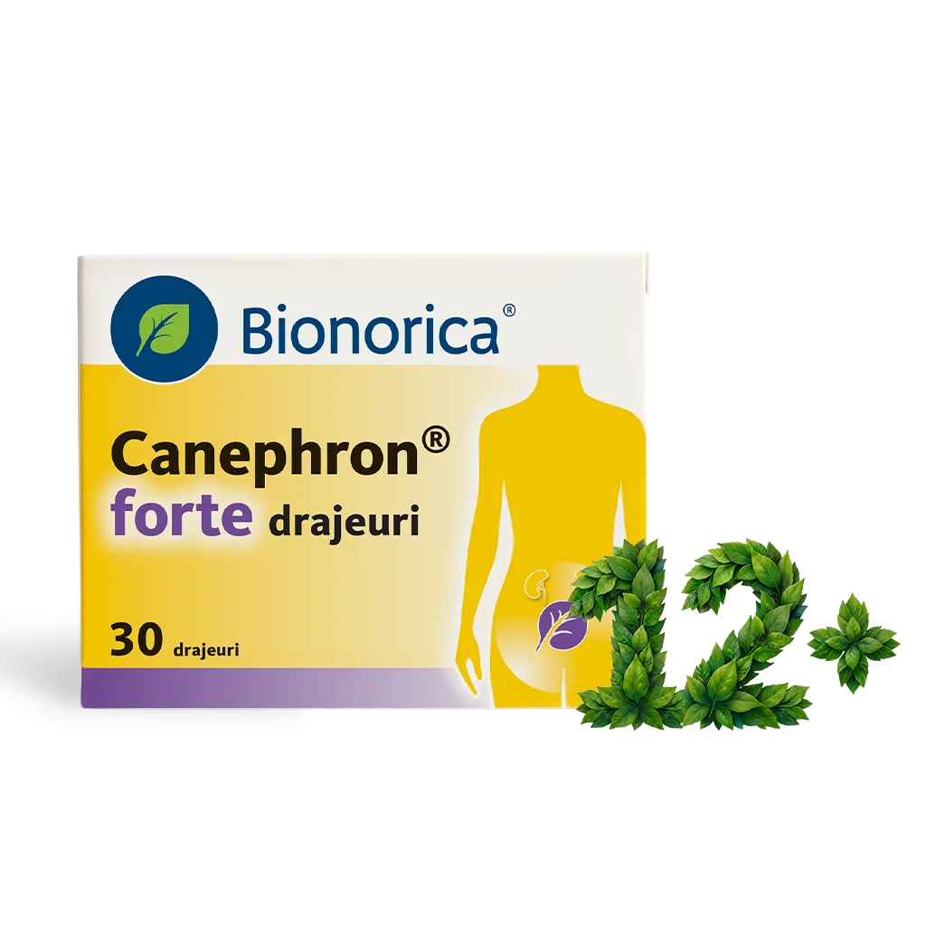 Canephron Forte, 30 drajeuri, Bionorica