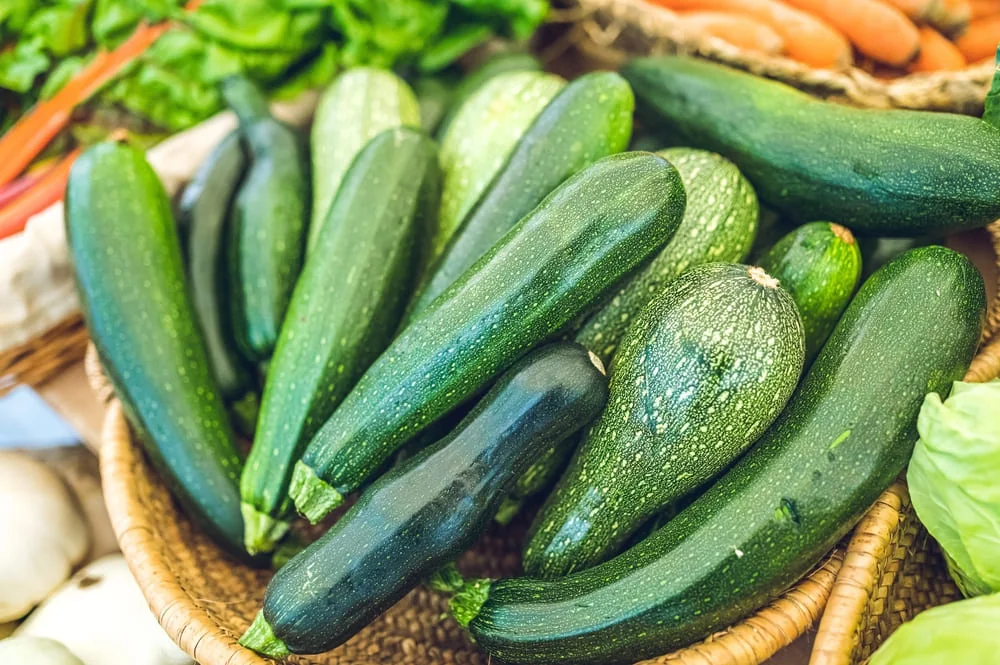 zucchini