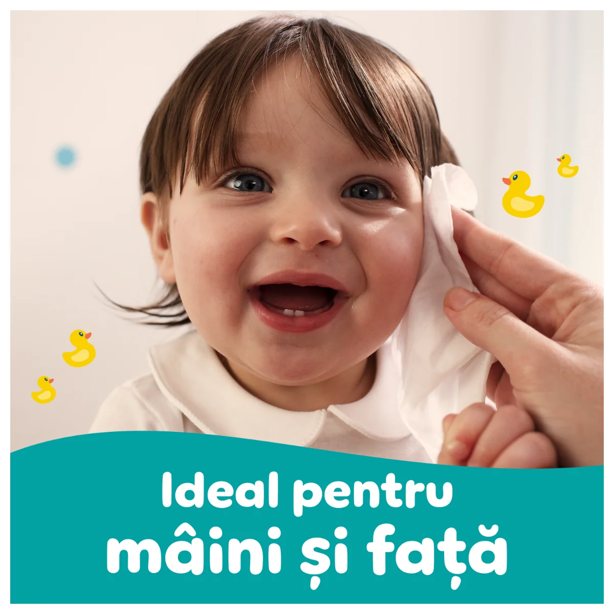 Servetele umede Fresh Clean, 960 bucati, Pampers