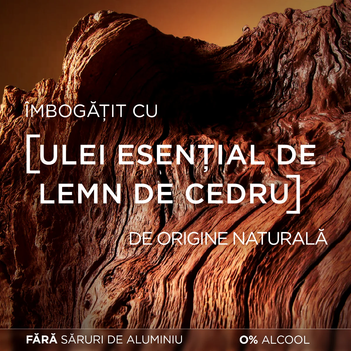 Antiperspirant roll-on Barber Club, 50ml, L'oreal Men Expert