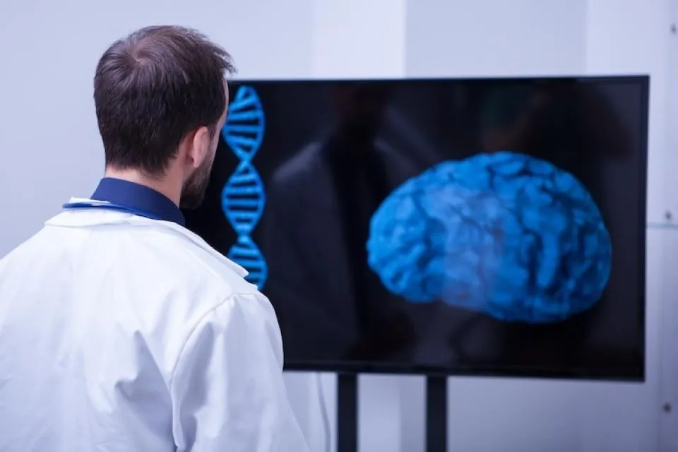 doctor care se uita la creierului unui pacient