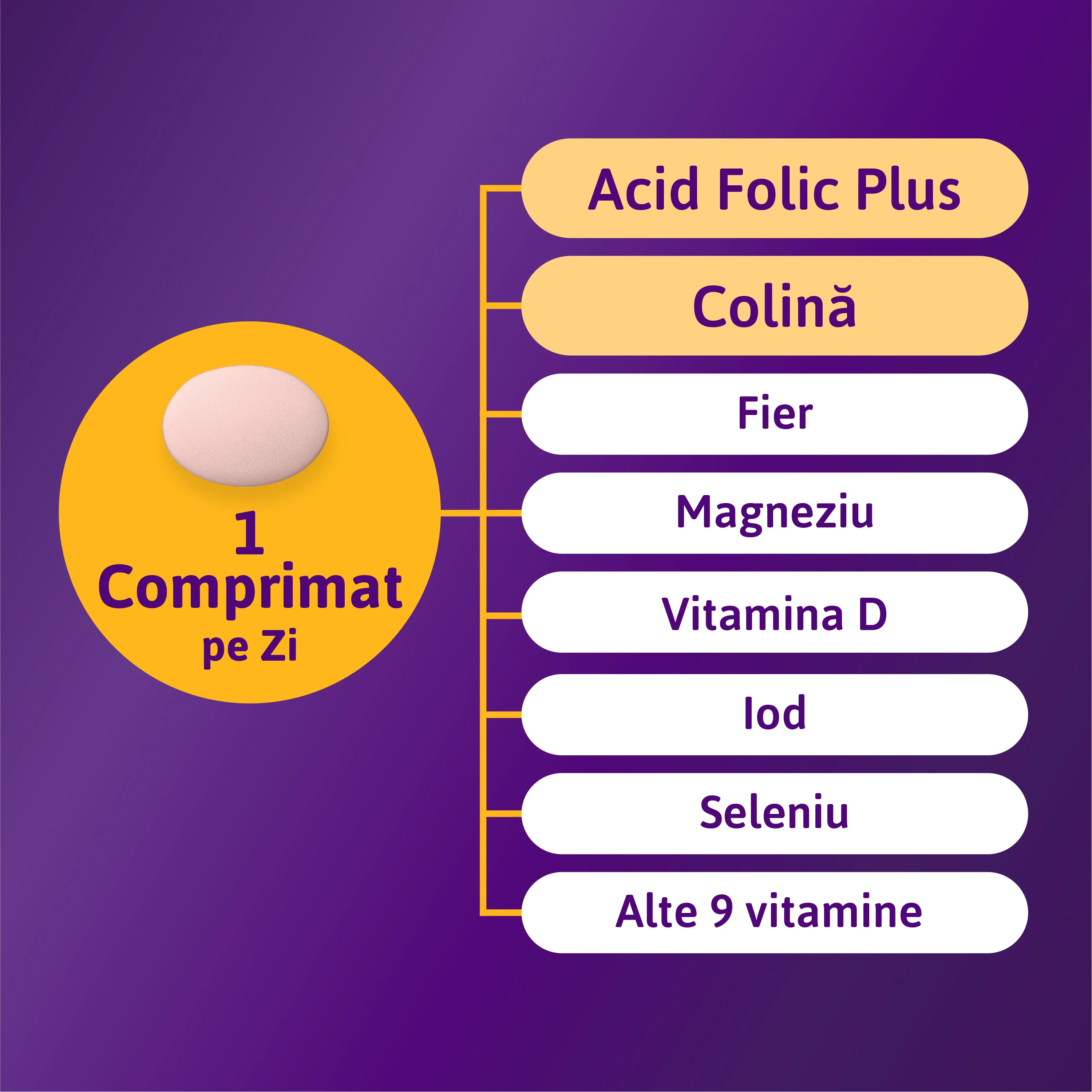 1 comprimat contine 1 comprimat contine