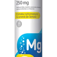 Dr. Max Magnesium B6 250mg, 20 comprimate efervescente