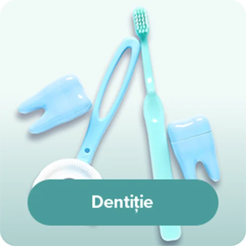 Dentitie Dentitie
