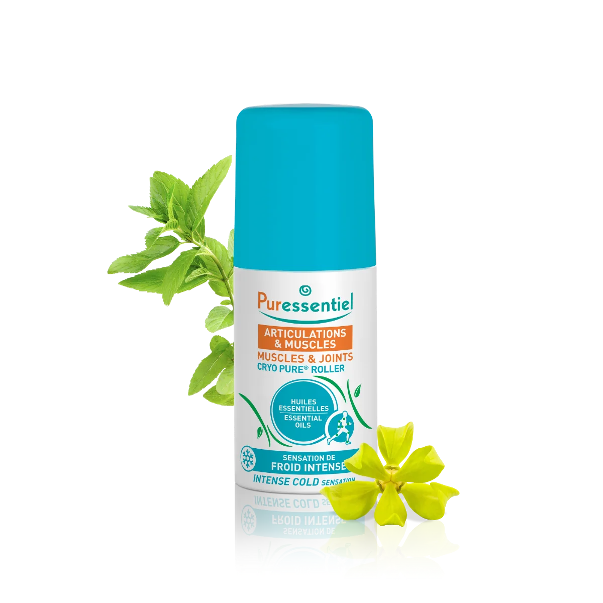 Muscle & Joints roller cu efect racoritor, 75ml, Puressentiel