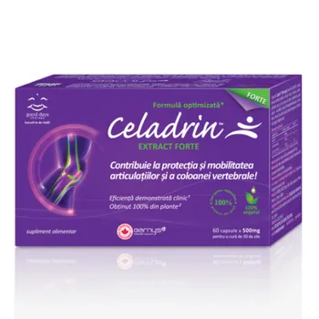 Celadrin Extract Forte 500 mg, 60 capsule, Good Days Therapy 