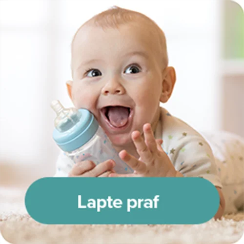 Lapte Praf