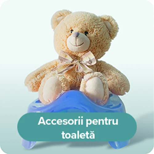 Accesorii pentru toaleta