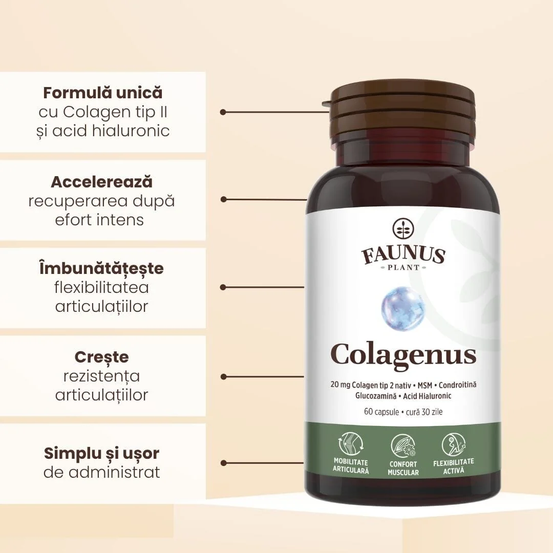 Colagen tip II pentru articulatii oase piele par Colagenus, 60 capsule, Faunus Plant