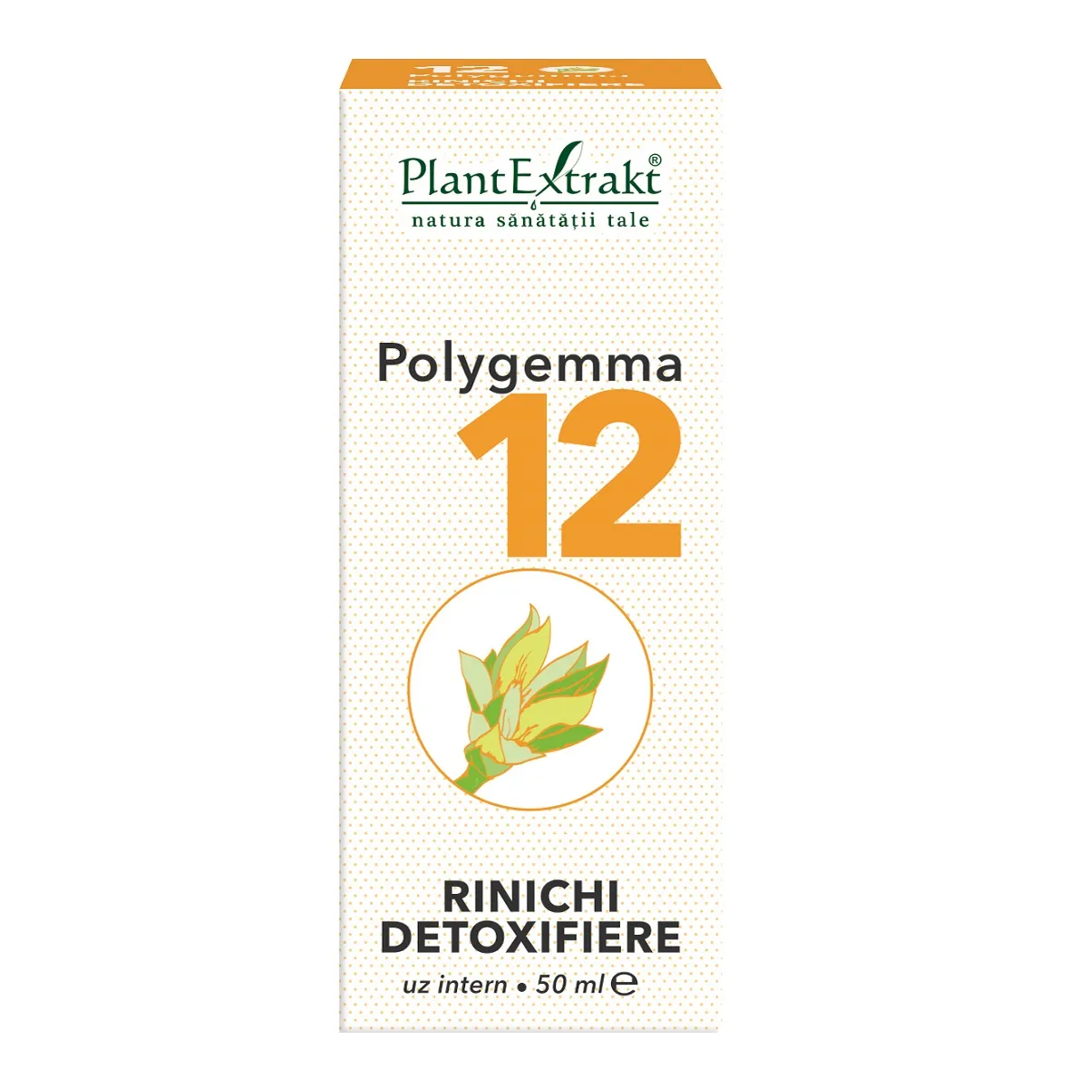 Polygemma 12, 50ml, Plant Extrakt