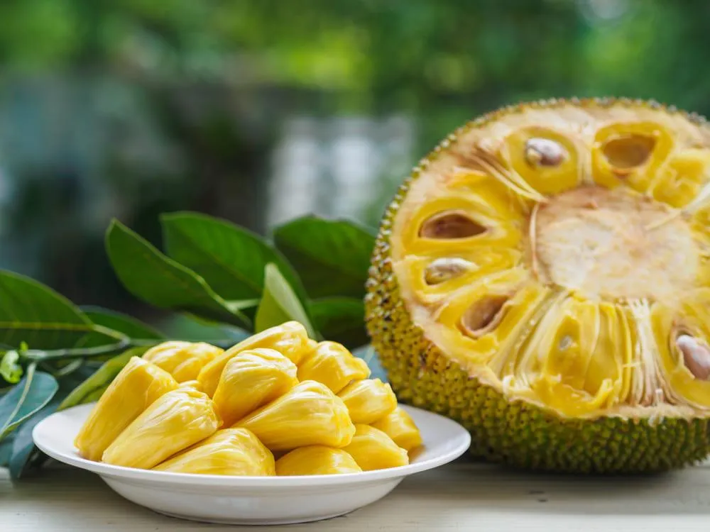 Jackfruit: beneficii, proprietati, contraindicatii