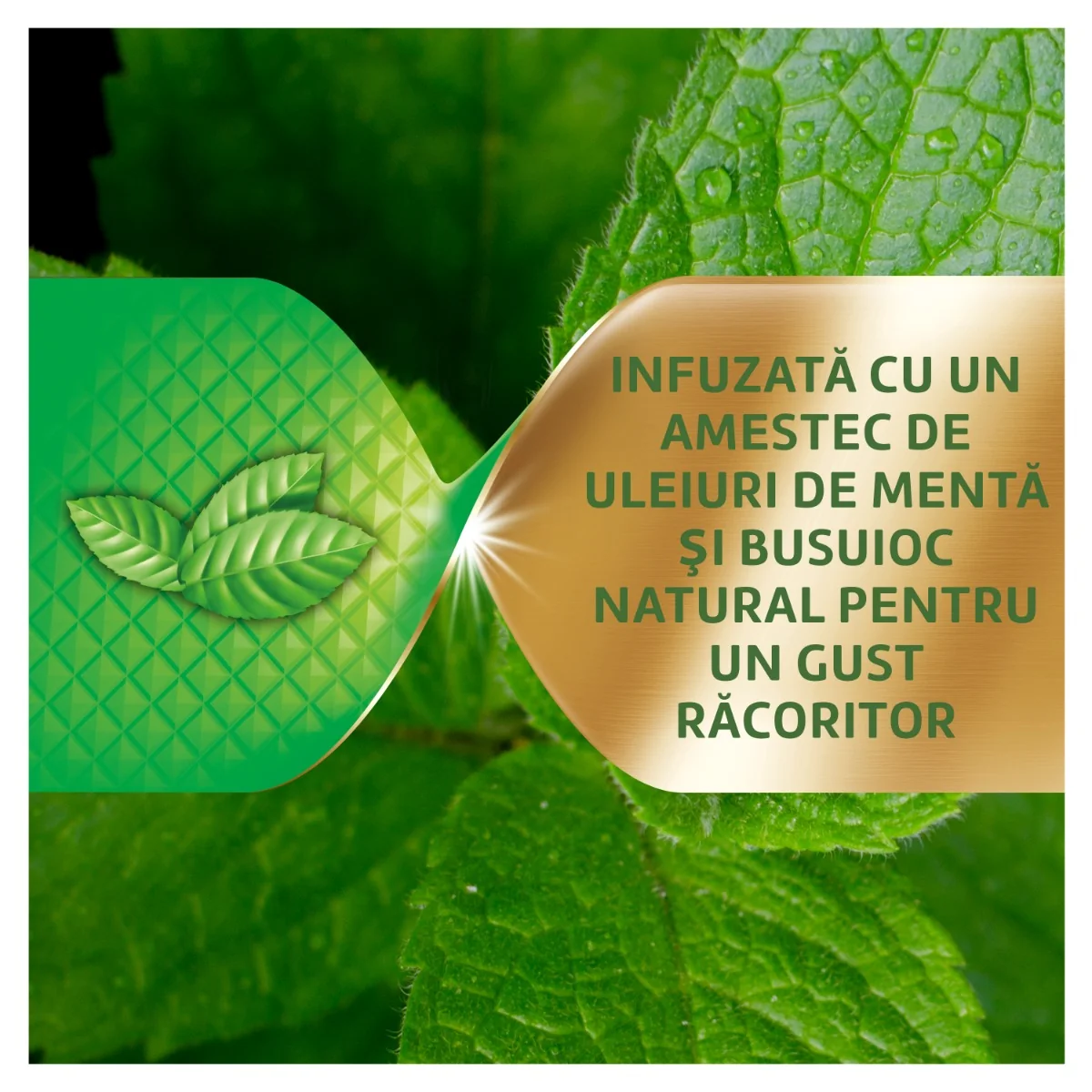 Crema adeziva pentru proteza dentara Max Fixare + Mentol, 40g, Corega
