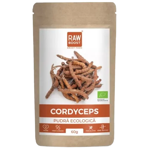 MSM pudra, 250g, Rawboost