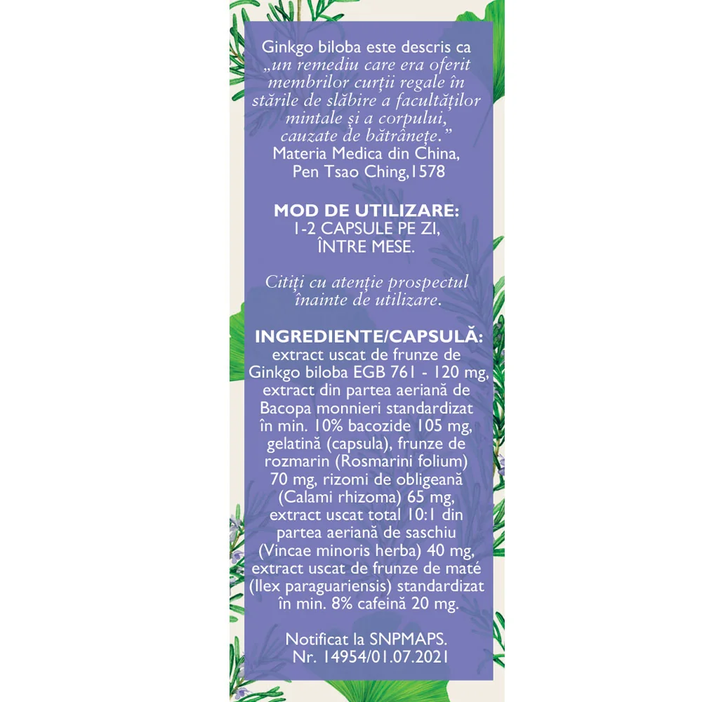 Circulatie cerebrala si memorie N172, 60 capsule, Fares