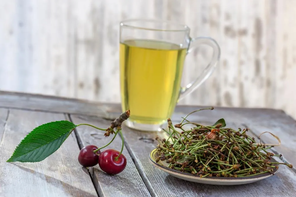 Ceaiul de cozi de cirese - beneficii, proprietati, contraindicatii