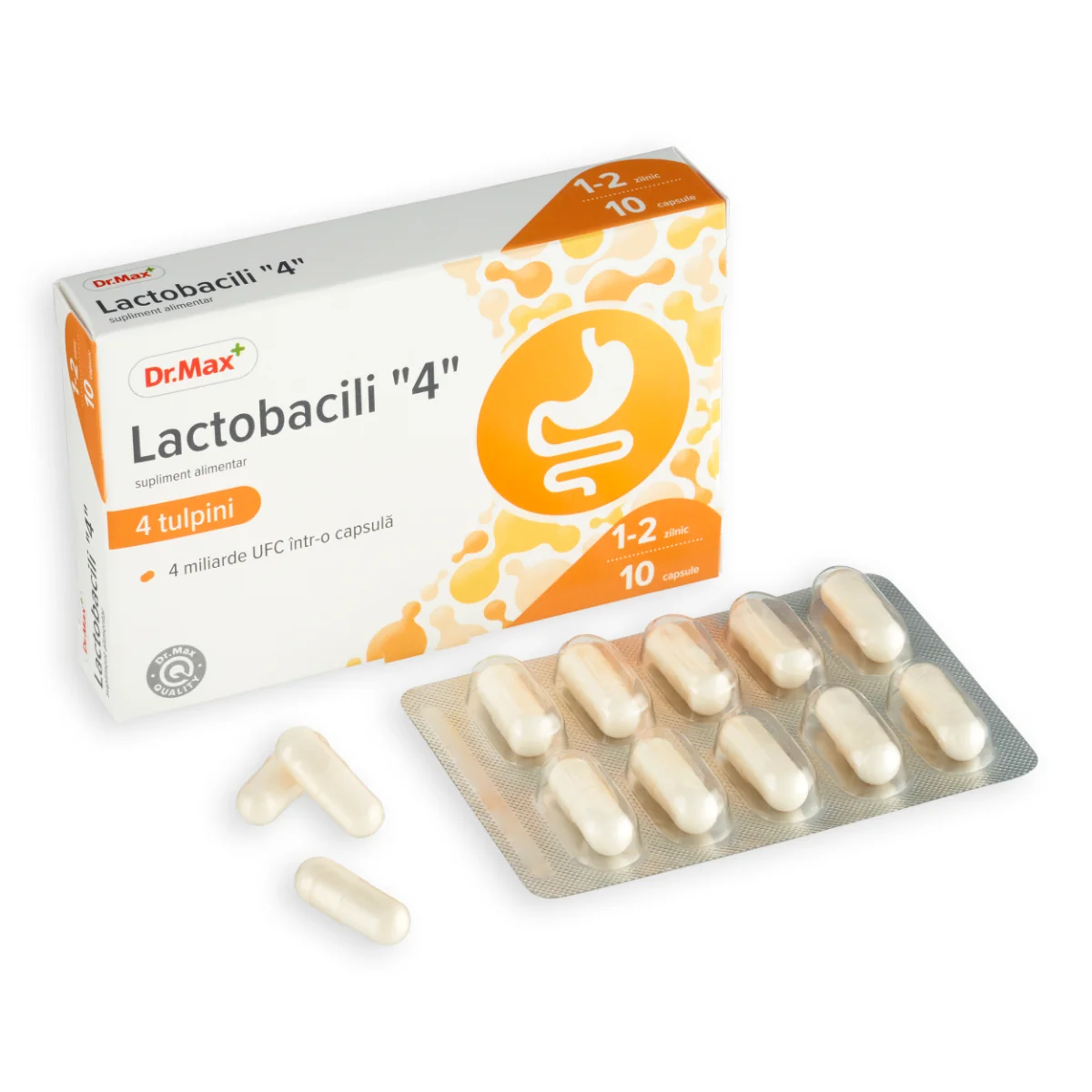 Dr. Max Lactobacili "4", 10 capsule