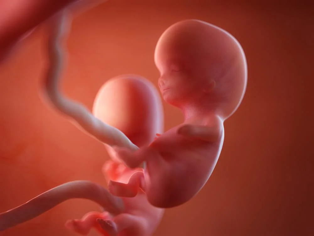 Saptamana 9 de sarcina: evolutie si sfaturi utile
