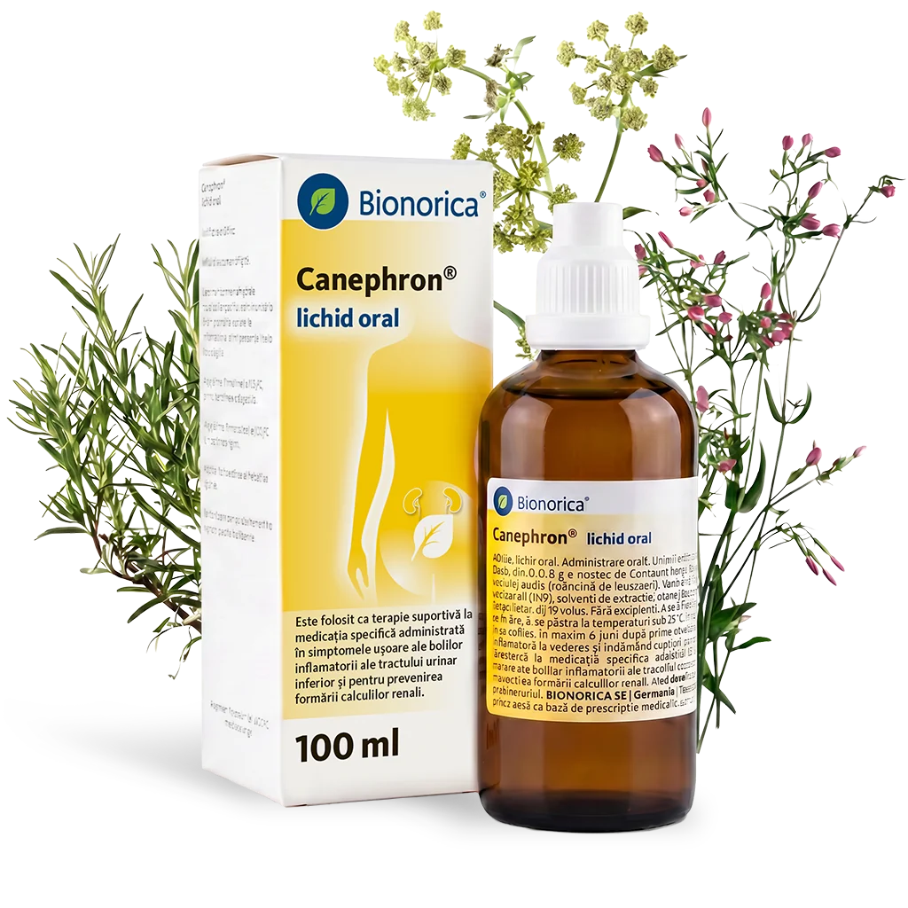 Canephron Solutie, 100ml, Bionorica