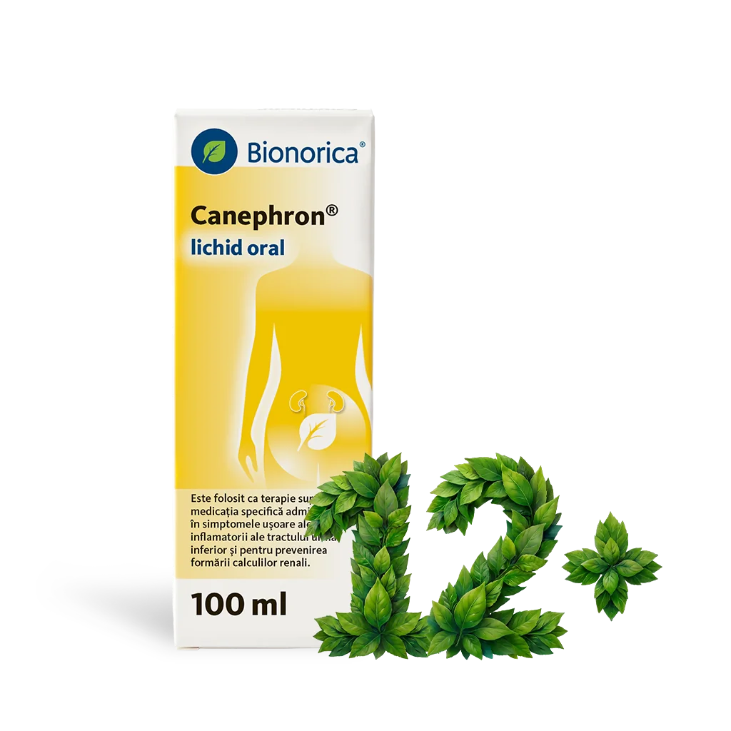 Canephron Solutie, 100ml, Bionorica
