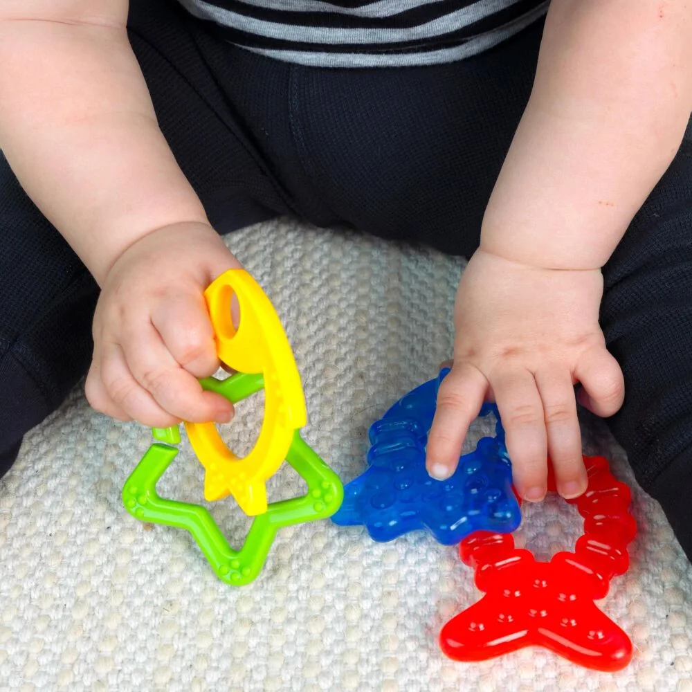 Jucarie de dentitie 3 luni + Ocean Explorers Cool Critters, 1 bucata, Baby Einstein