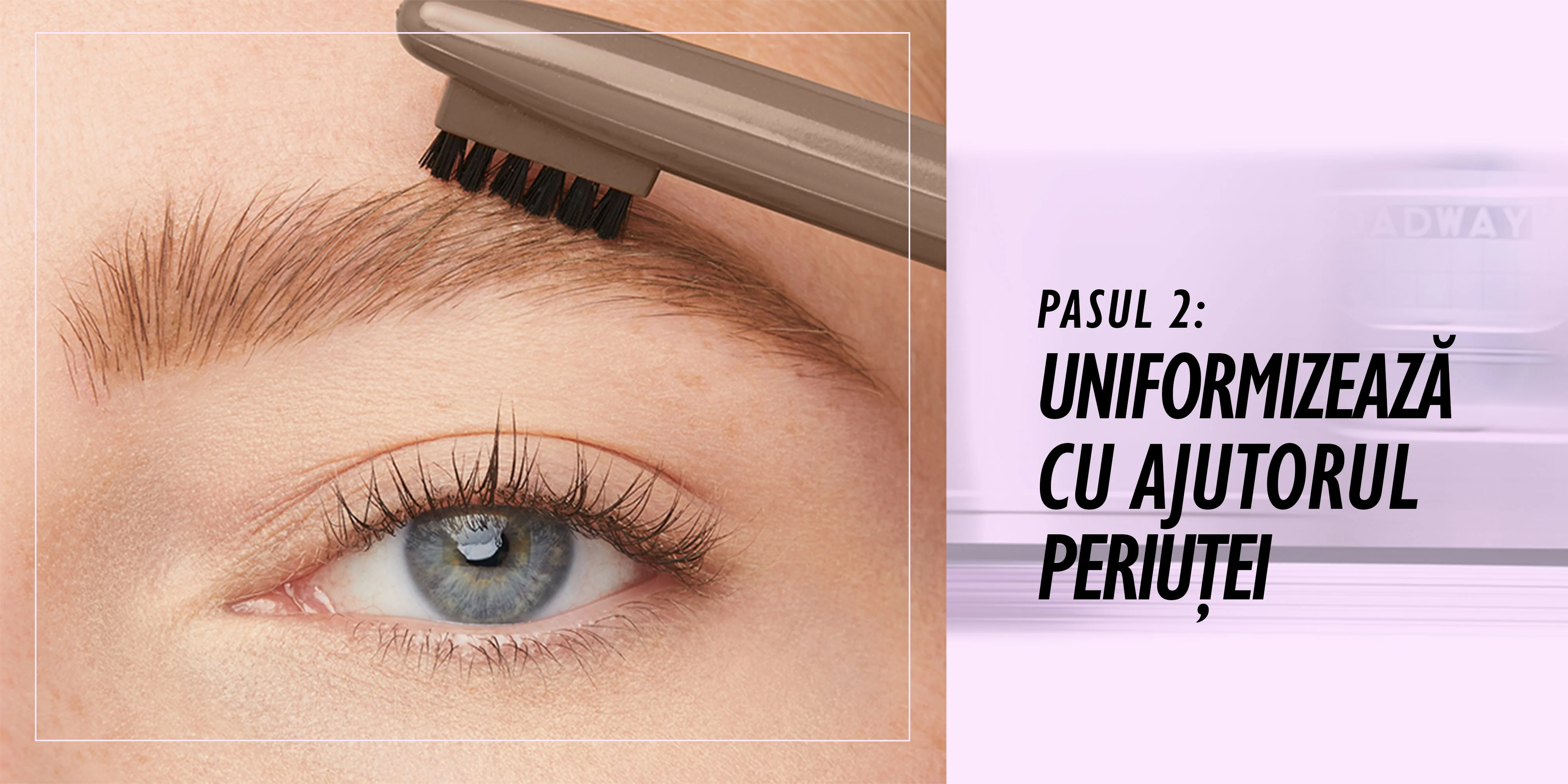 Mod de utilizare pasul 2 Mod de utilizare pasul 2
