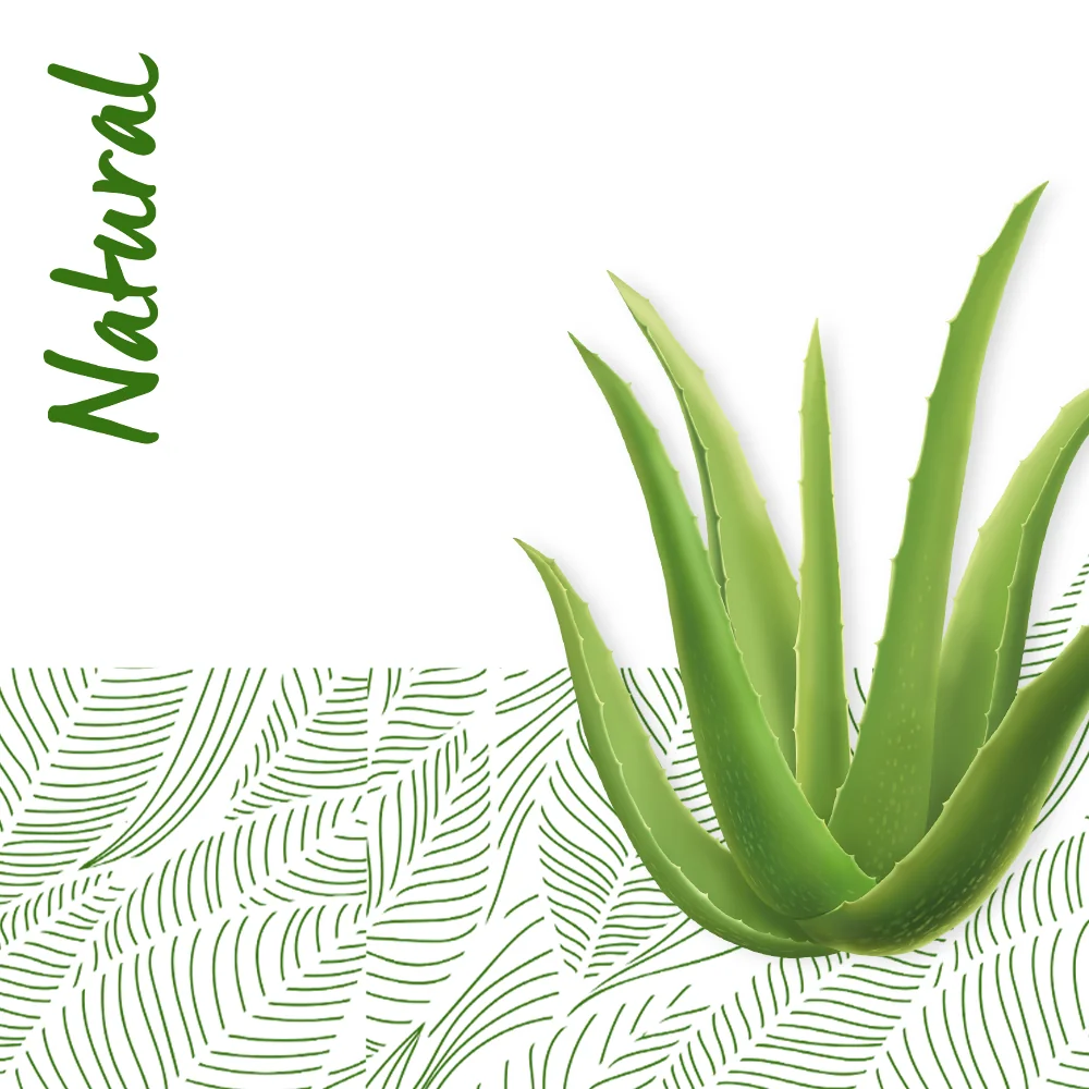 Dr. Max Natural Sampon cu aloe vera, 400ml