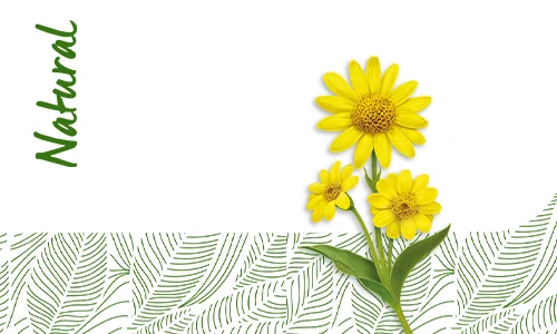 Sampon cu arnica Sampon cu arnica