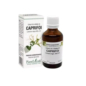 Extract din mladite de caprifoi, 50ml, PlantExtrakt
