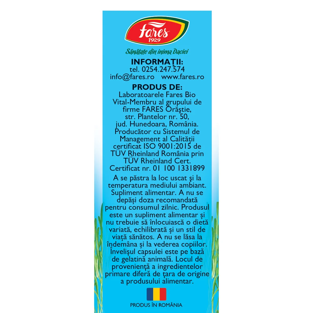 Magneziu + B6 F178, 30 capsule, Fares