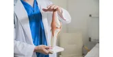 Osteoartrita (osteoartroza): cauze, simptome, tratament