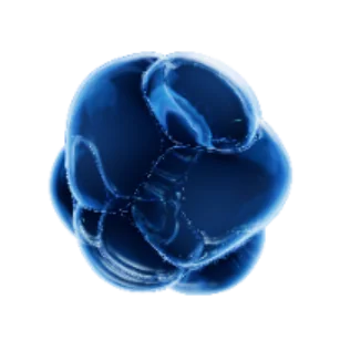 ACID HIALURONIC