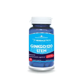 Ginkgo 120+ Stem, 30 capsule, Herbagetica