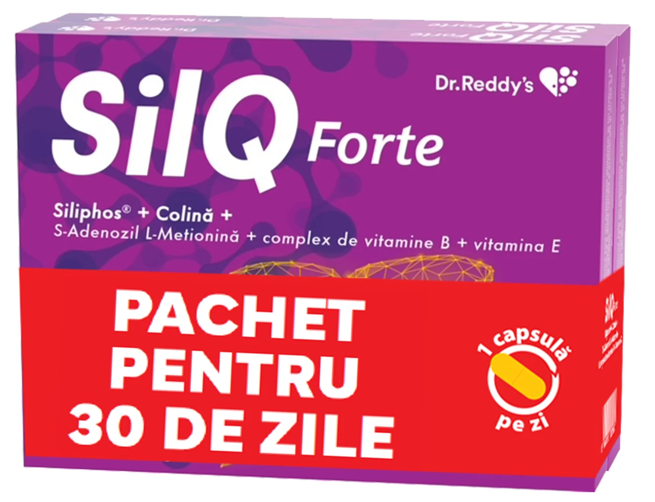 Pachet SilQ Forte Duopack, 2 x 15 capsule, Dr. Reddy's