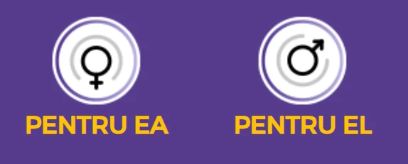 Mod de utilizare Mod de utilizare